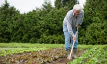 Farmer